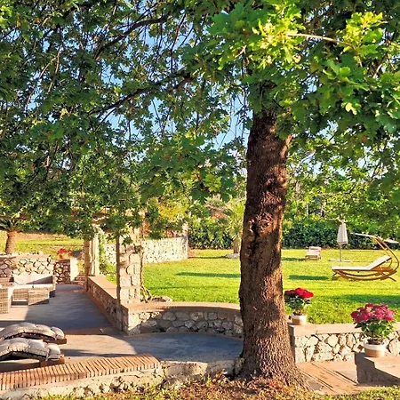 Maiora 게스트하우스 *